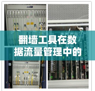 翻墙工具在数据流量管理中的应用与优化