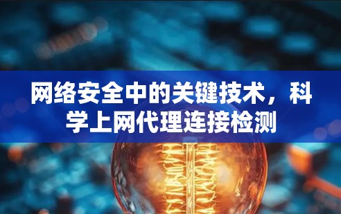 网络安全中的关键技术,科学上网代理连接检测 网络安全中的关键技术,科学上网代理连接检测
