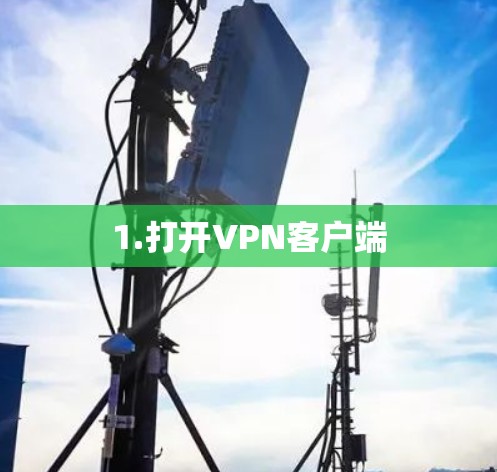 1.打开VPN客户端 1.打开VPN客户端