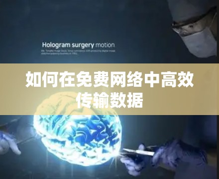 如何在免费网络中高效传输数据