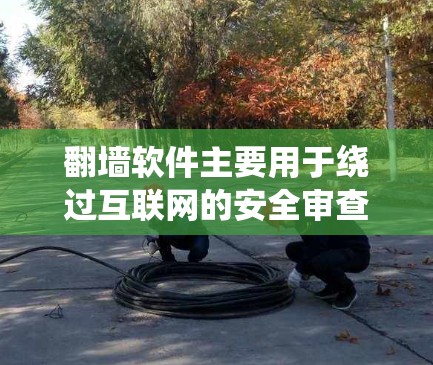 翻墙软件主要用于绕过互联网的安全审查，阻止被翻墙的网站访问您的互联网。以下是一些常见的翻墙软件及其安装与使用指南，您可以根据自己的需求选择合适的工具