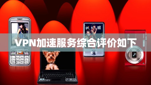VPN加速服务综合评价如下
