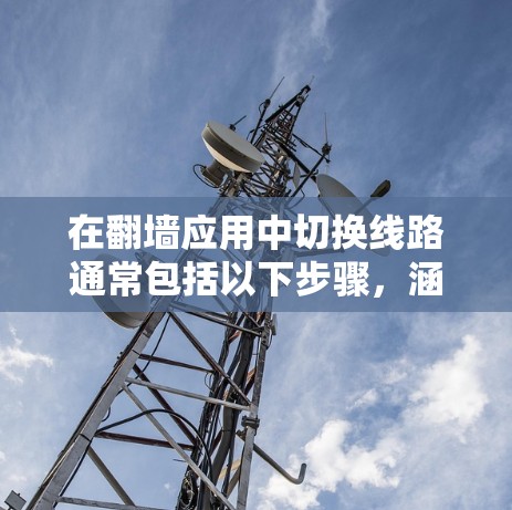 在翻墙应用中切换线路通常包括以下步骤，涵盖了协议检测、日志管理、网络配置和数据传输