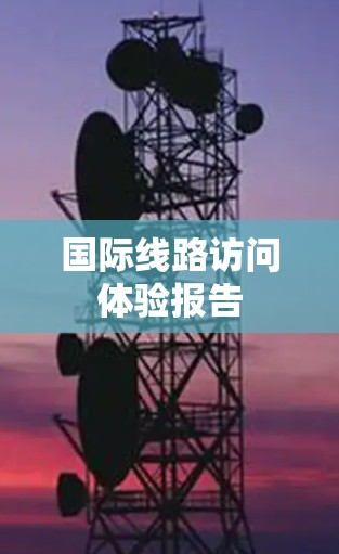 国际线路访问体验报告 国际线路访问体验报告