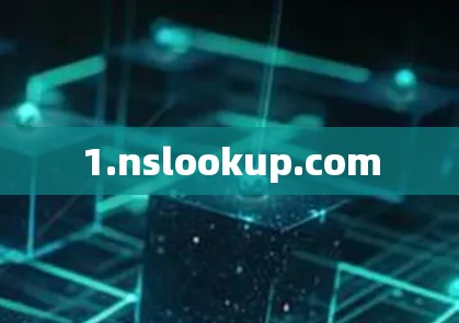 1.nslookup.com