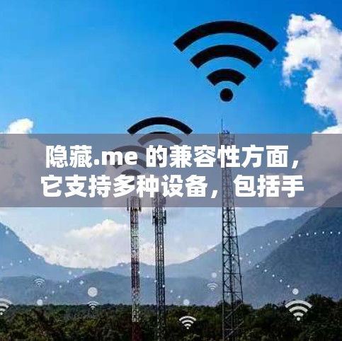 隐藏.me 的兼容性方面，它支持多种设备，包括手机、平板和电脑，但可能存在一些设备上的兼容性问题。此外，隐藏.me 的实时连接时间显示较为简单，用户需要自行处理