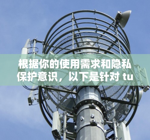 根据你的使用需求和隐私保护意识，以下是针对 tunnelBear VPN 提供的无间道和隐私安全模式的详细分析
