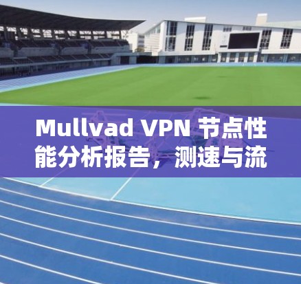 Mullvad VPN 节点性能分析报告，测速与流量数据的深度剖析