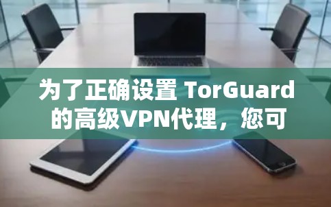 为了正确设置 TorGuard 的高级VPN代理，您可以按照以下步骤进行