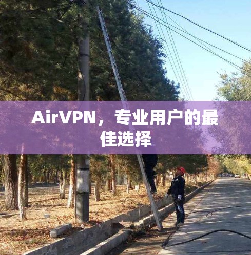 AirVPN，专业用户的最佳选择