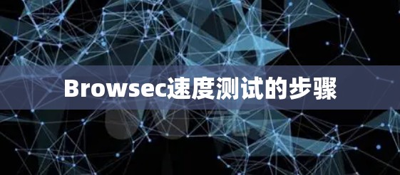 Browsec速度测试的步骤