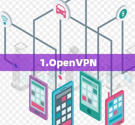 1.OpenVPN