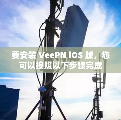 要安装 VeePN iOS 版，您可以按照以下步骤完成