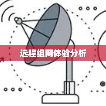 远程组网体验分析
