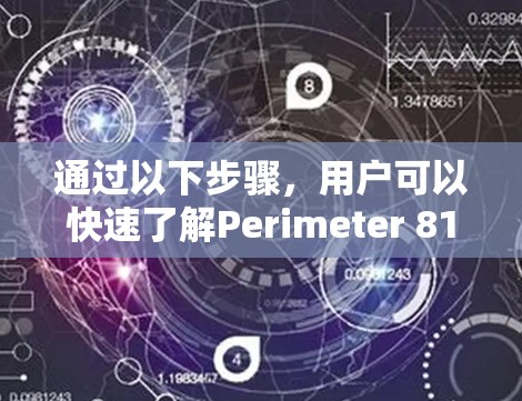 通过以下步骤,用户可以快速了解Perimeter 81的情况 通过以下步骤,用户可以快速了解Perimeter 81的情况
