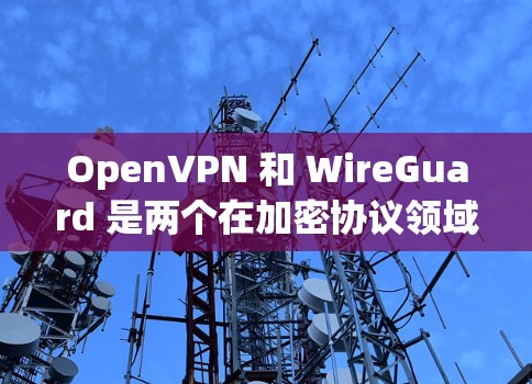 OpenVPN 和 WireGuard 是两个在加密协议领域竞争的工具，它们各有特点，尤其是在协议性能和安全性方面。以下是对它们的比较和分析