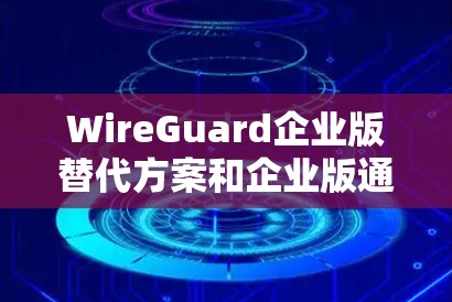 WireGuard企业版替代方案和企业版通常是指企业用户定制化的版本，但它们之间存在一些核心区别。以下是它们的主要区别和比较