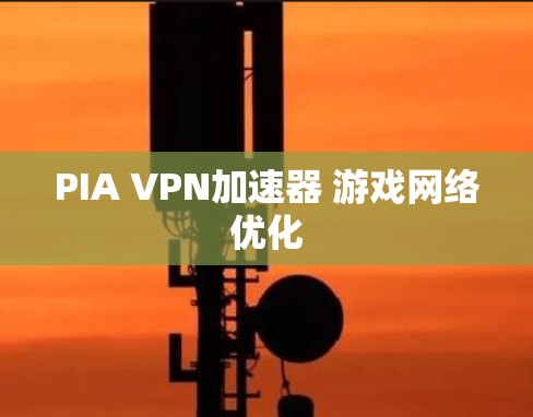 PIA VPN加速器 游戏网络优化
