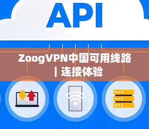 ZoogVPN中国可用线路｜连接体验
