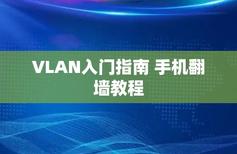 VLAN入门指南 手机翻墙教程