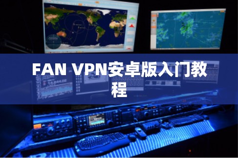 FAN VPN安卓版入门教程
