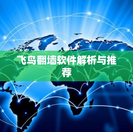 飞鸟翻墙软件解析与推荐