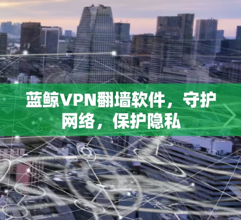 蓝鲸VPN翻墙软件,守护网络,保护隐私 蓝鲸VPN翻墙软件,守护网络,保护隐私
