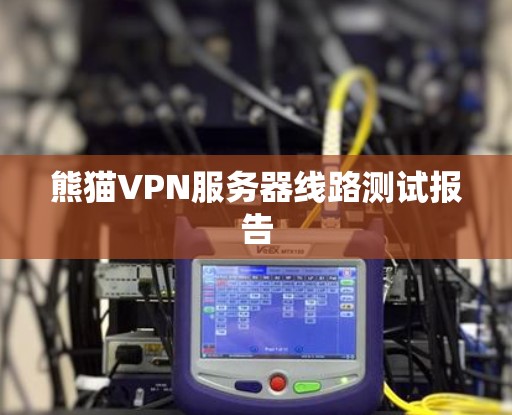 熊猫VPN服务器线路测试报告