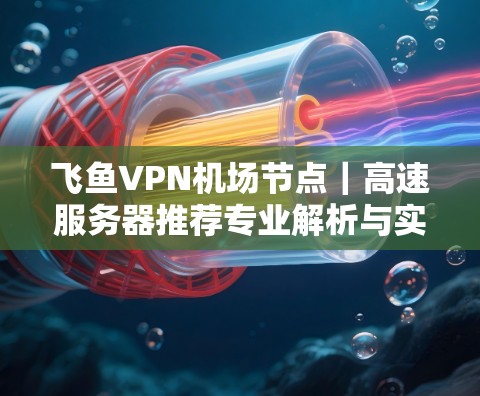飞鱼VPN机场节点｜高速服务器推荐专业解析与实用建议