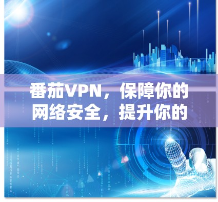 番茄VPN,保障你的网络安全,提升你的虚拟连接体验 番茄VPN,保障你的网络安全,提升你的虚拟连接体验