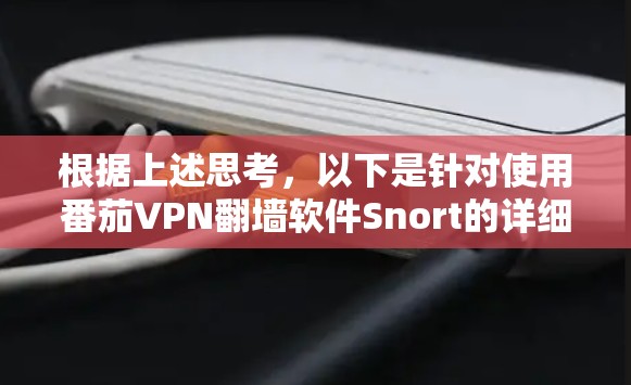根据上述思考，以下是针对使用番茄VPN翻墙软件Snort的详细分析和建议