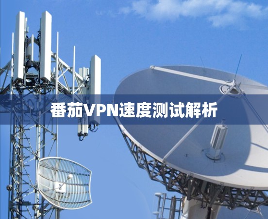 番茄VPN速度测试解析