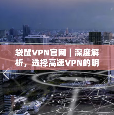 袋鼠VPN官网|深度解析,选择高速VPN的明智选择 袋鼠VPN官网|深度解析,选择高速VPN的明智选择