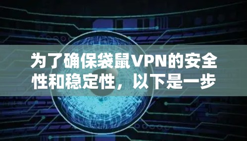 为了确保袋鼠VPN的安全性和稳定性，以下是一步步的测试过程和注意事项