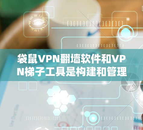 袋鼠VPN翻墙软件和VPN梯子工具是构建和管理VPN环境的重要工具,它们各自有不同的功能和应用场景。以下是对两者进行系统的分析和总结 袋鼠VPN翻墙软件和VPN梯子工具是构建和管理VPN环境的重要工具,它们各自有不同的功能和应用场景。以下是对两者进行系统的分析和总结