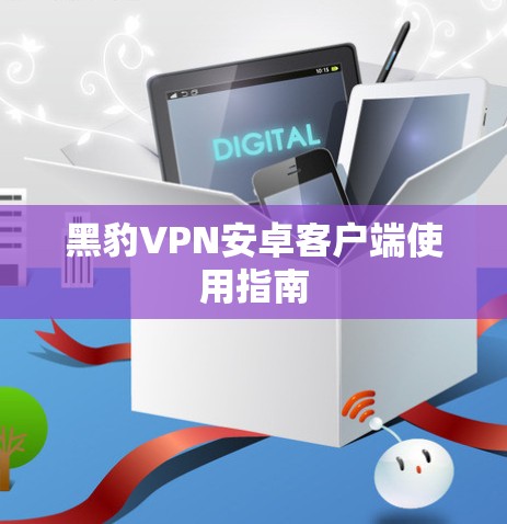 黑豹VPN安卓客户端使用指南