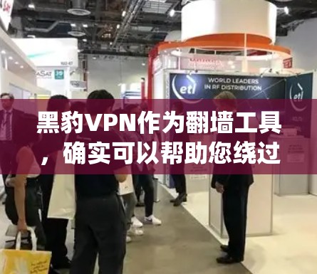 黑豹VPN作为翻墙工具，确实可以帮助您绕过VPN流量限制，访问被封锁的网站。以下是使用黑豹VPN翻墙的步骤和注意事项