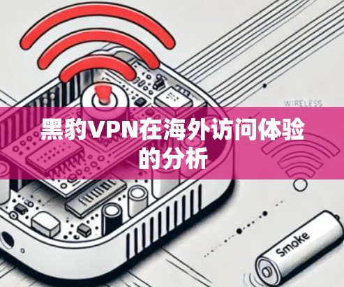 黑豹VPN在海外访问体验的分析