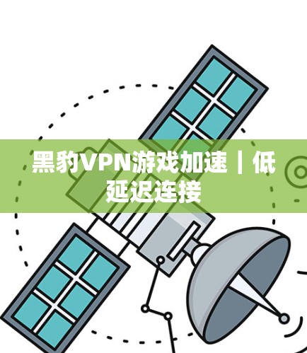 黑豹VPN游戏加速|低延迟连接 黑豹VPN游戏加速|低延迟连接