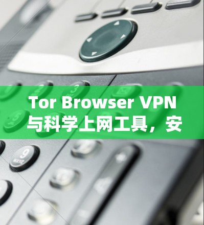 Tor Browser VPN 与科学上网工具，安全与便捷的双重保障