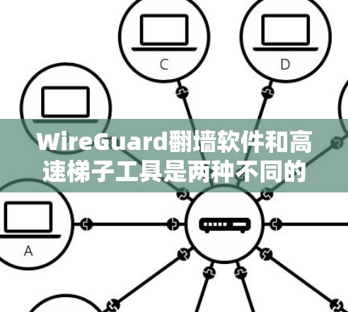 WireGuard翻墙软件和高速梯子工具是两种不同的网络防护工具，分别用于不同的应用场景和目标用户。以下是它们的区别和比较