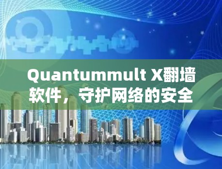 Quantummult X翻墙软件，守护网络的安全与便捷
