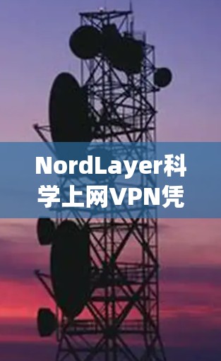 NordLayer科学上网VPN凭借其创新的技术和用户友好的设计，正在逐步扩大其市场影响力。以下是对该服务的分析和总结