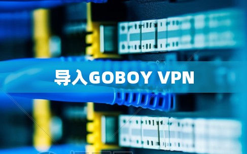 导入GOBOY VPN