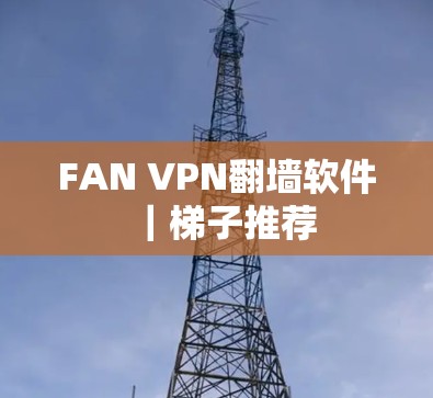 FAN VPN翻墙软件|梯子推荐 FAN VPN翻墙软件|梯子推荐