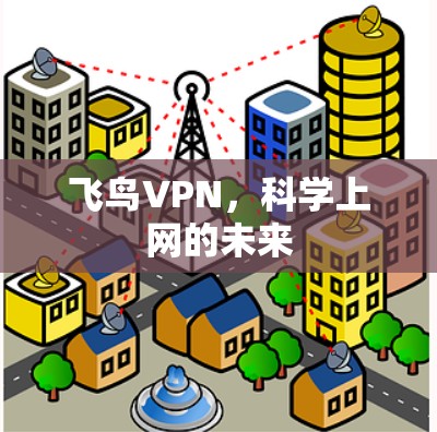 飞鸟VPN,科学上网的未来 飞鸟VPN,科学上网的未来