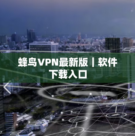 蜂鸟VPN最新版｜软件下载入口