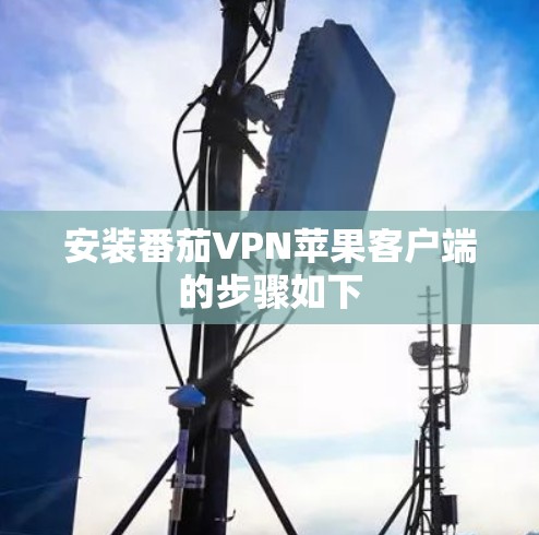 安装番茄VPN苹果客户端的步骤如下 安装番茄VPN苹果客户端的步骤如下