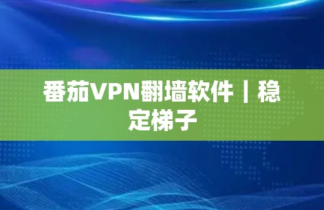 番茄VPN翻墙软件|稳定梯子 番茄VPN翻墙软件|稳定梯子