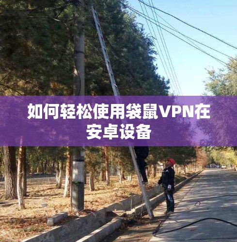 如何轻松使用袋鼠VPN在安卓设备